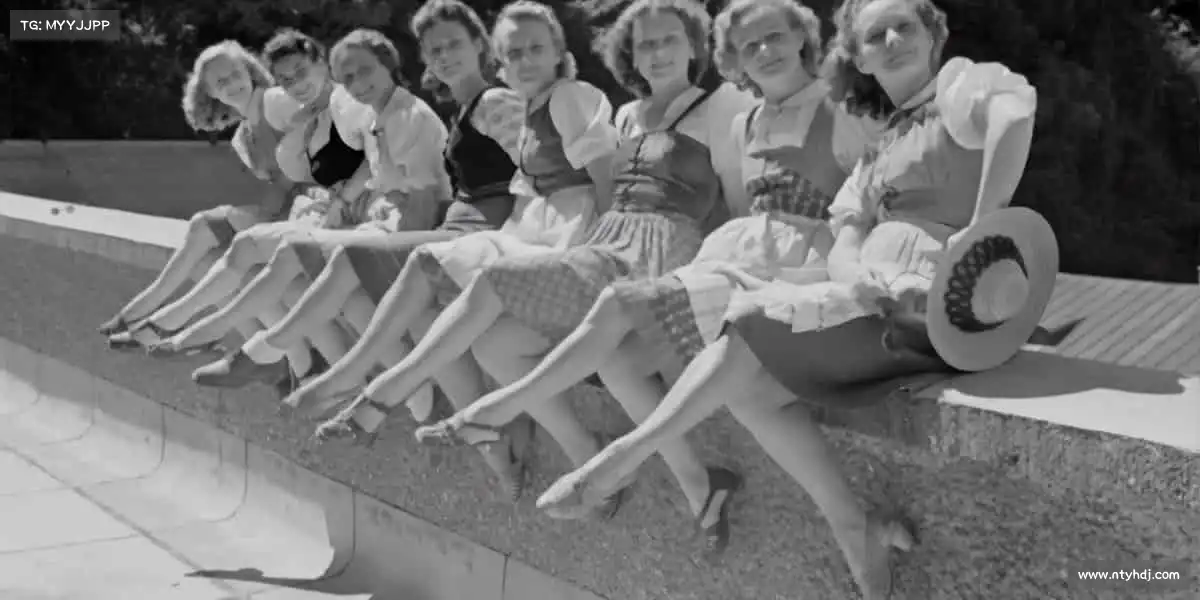 为什么选择我们